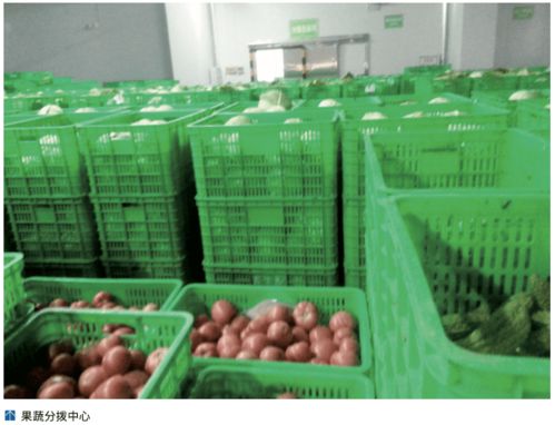 农产品冷链‘最先一公里’ 基础设施亟待发展，破解初级农产品保鲜难题