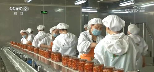 全链条推进乡村特色产业 以农产品加工业提升土特产效益