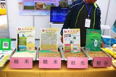 济南都市农产品博览会 初级农产品闪耀登场，优秀企业与十佳商品评选火热进行