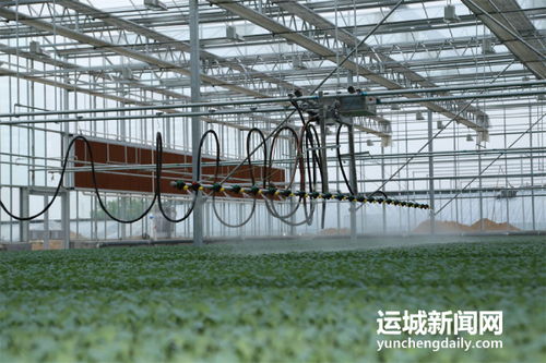 夏县积极筹备第七届中国山西特色农产品交易博览会，夯实初级农产品营销基础