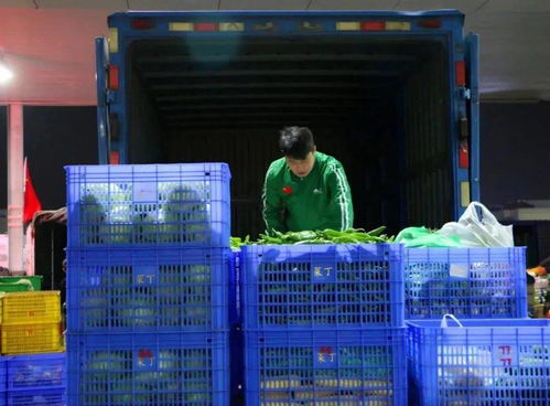 菜丁乐昌农产品交易中心 大型农副产品批发市场火爆招商，助力初级农产品流通