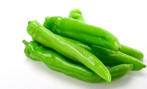 美菜网 以服务筑基，以品质求存，深耕初级农产品市场